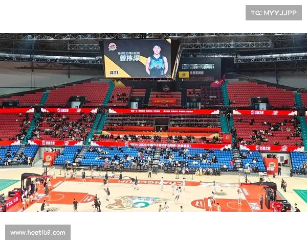 东北虎男篮最新排名