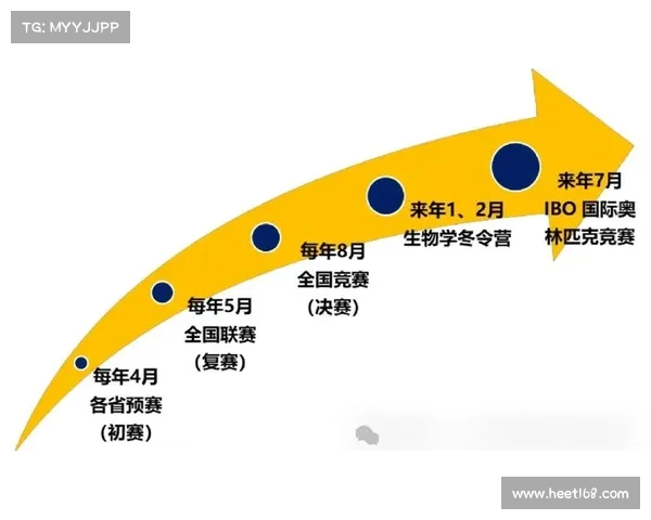 全面解析赛事举办过程中的各类投入要素包括资金人力设备及运营成本 全面解析赛事举办过程中的各类投入要素包括资金人力设备及运营成本